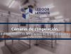 Ledoor Levante S.L. | Tipos de puertas para naves industriales