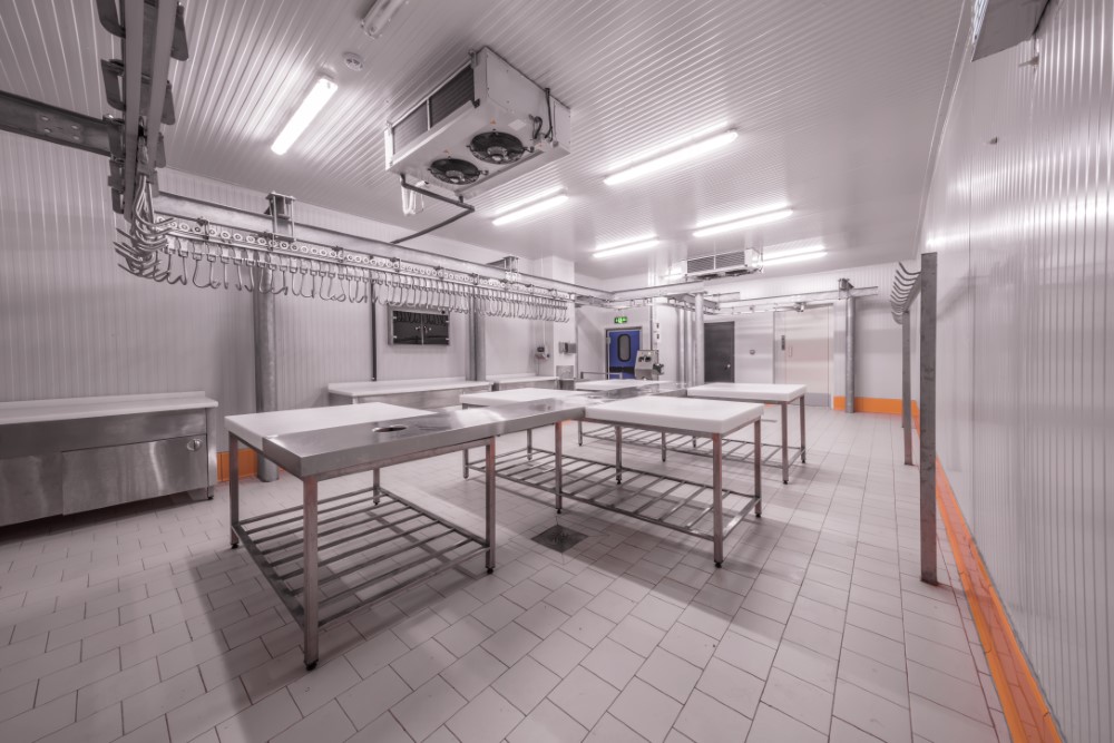 Ledoor Levante S.L. | Cámaras de congelación: Indispensables en la industria de la alimentación y hostelería