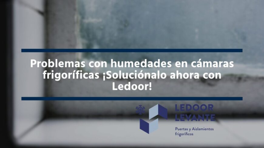 Problemas con humedades en cámaras frigoríficas ¡Soluciónalo ahora con Ledoor!